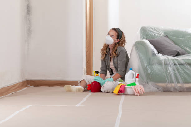 Reliable Mold Cleanup contractor in Pomeroy, PA by WQB Mold Removal